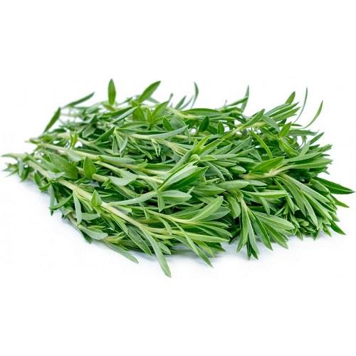 Fresh Dutch Rosemary 100g Approximately