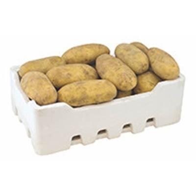 بطاط كويتي كرتون 3.5كجم تقريبا
