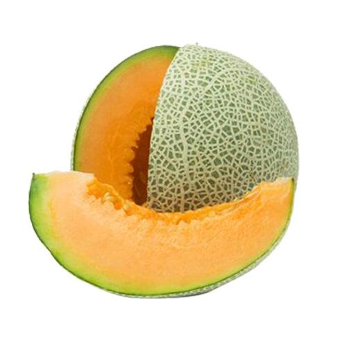 Fresh Omani Sweet Melon 1Pcs