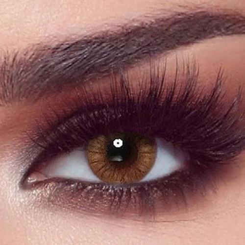 Bella Daily Plano One Day Contact lenses Hazel Honey