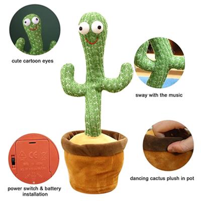 Dancing Cactus
