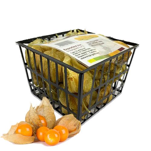 Tropi Gold Fresh Physalis Colombian 100g