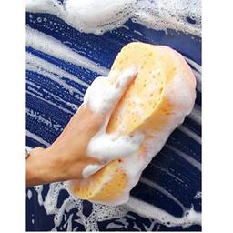 Car Wash Sponge