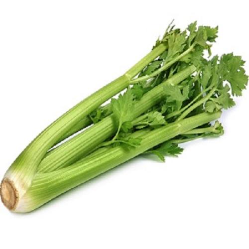 Spanish Celery 1Pcs