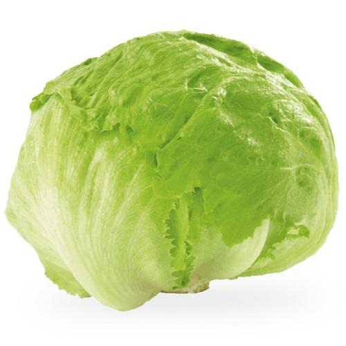Organic Round Lettuce 450g