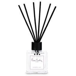 بيير كاردان معطر جو برائحة الزنجبيل 100مل رقم.42775