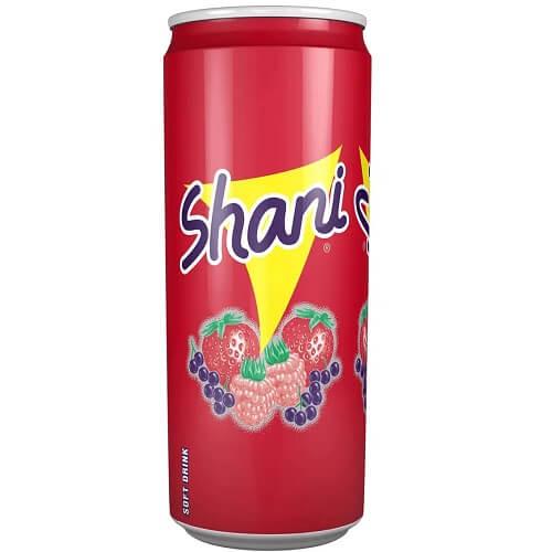 Shani Fruit Soft Drink Can 250ml