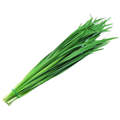 Fresh Chives Medium Bundle