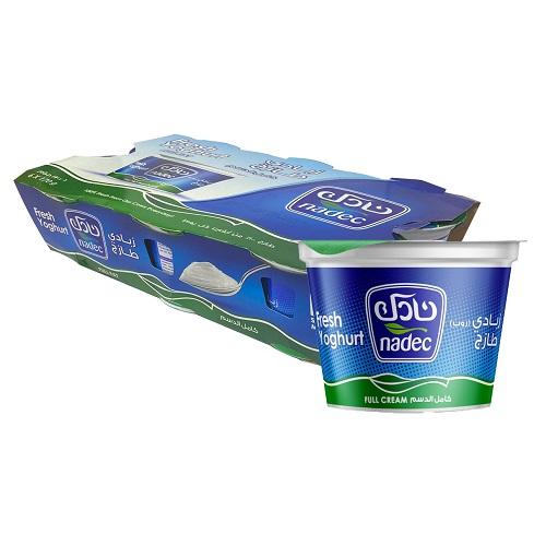 Nadec Fresh Yogurt Full Fat 170g 6Pcs