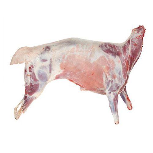 Egyptian Chilled Lamb