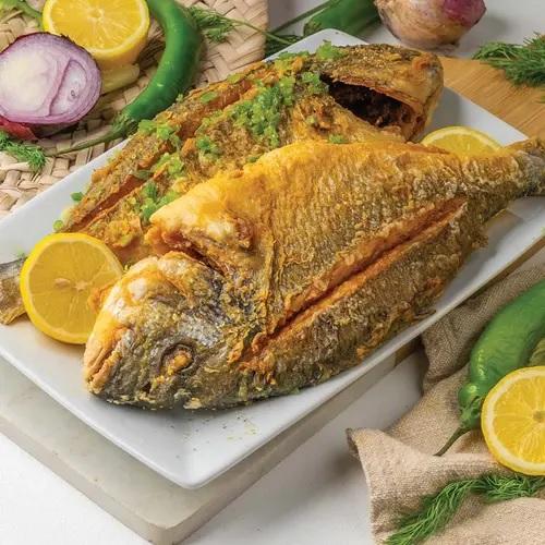 سمك دنيس سنجاري