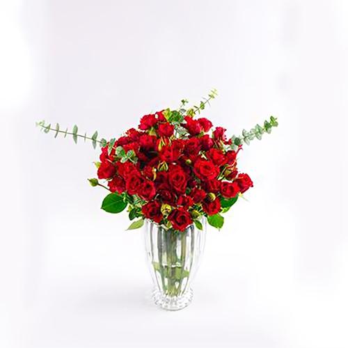 Red Baby Rose Vase with Printed Phrase Model No.RS157