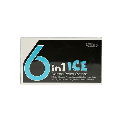 6in1 Ice Derma Roller System for Skin Care