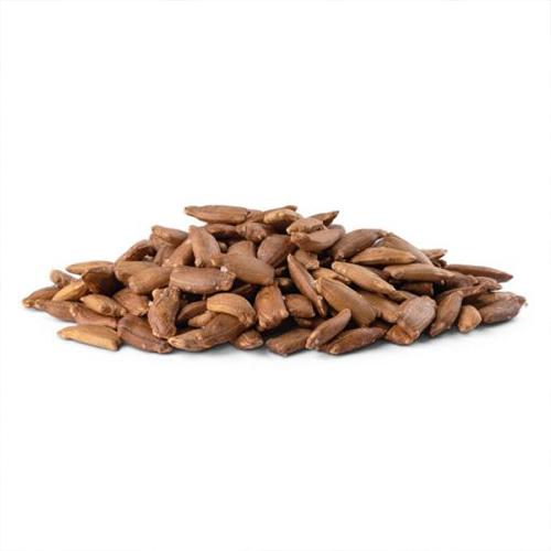 حب خشب