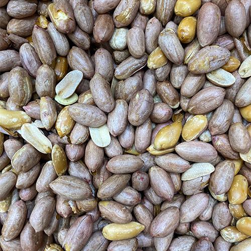فول سوداني مصري اسواني