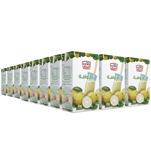 Kdcow Guava Nectar Juice 250ml 24Pcs